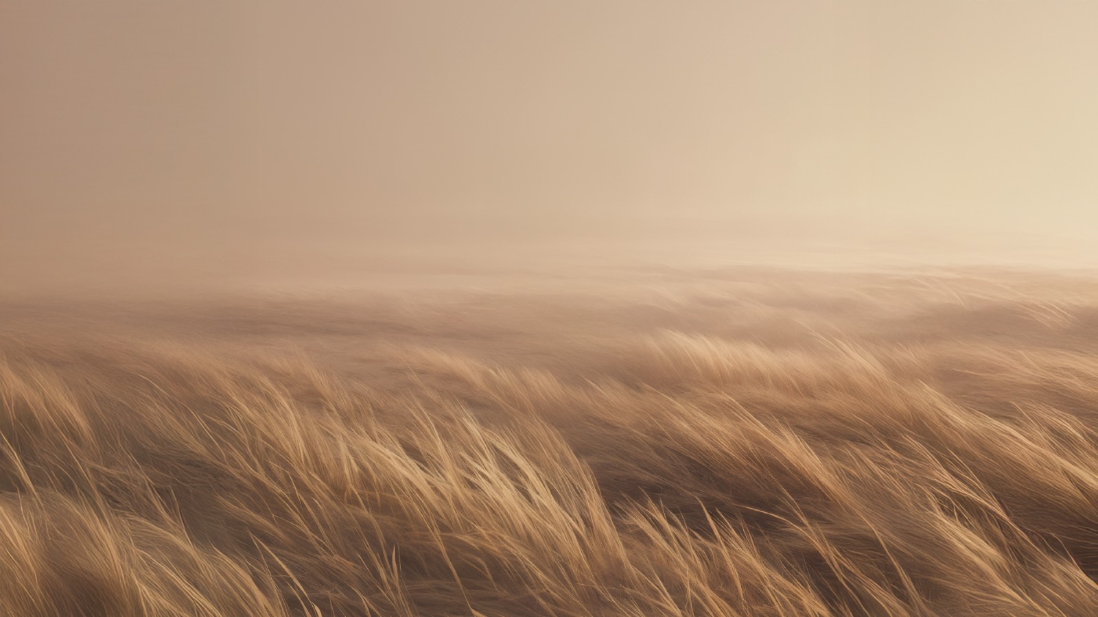 Hero background